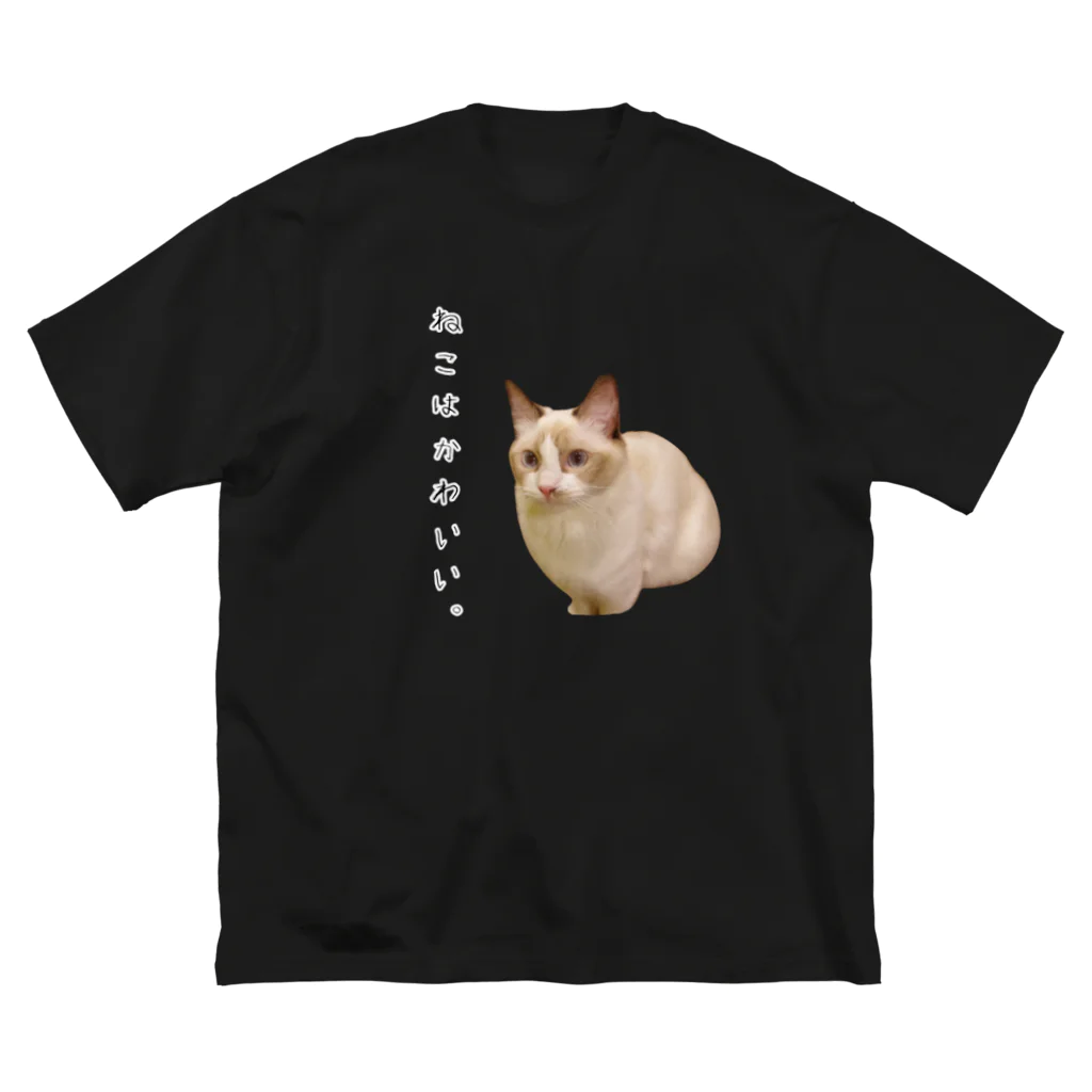 むーちゃんです。の猫って可愛いんだよ！ ビッグシルエットTシャツ