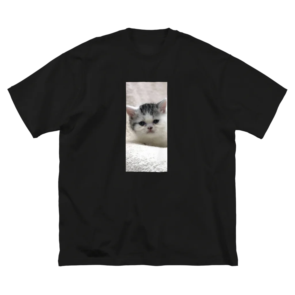 DAIPUKUの子猫の大福 ビッグシルエットTシャツ