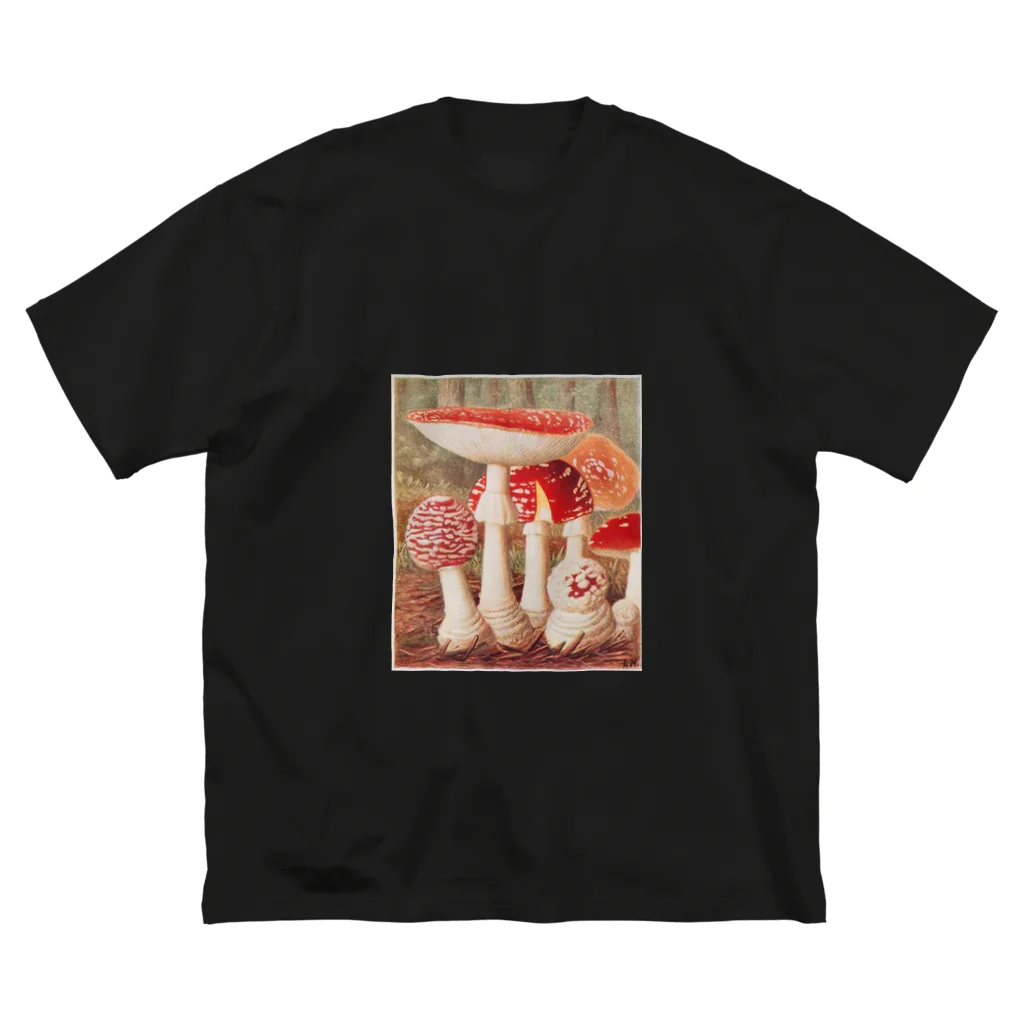 ＦＩＳＨＣＡＫＥのキノコ ビッグシルエットTシャツ