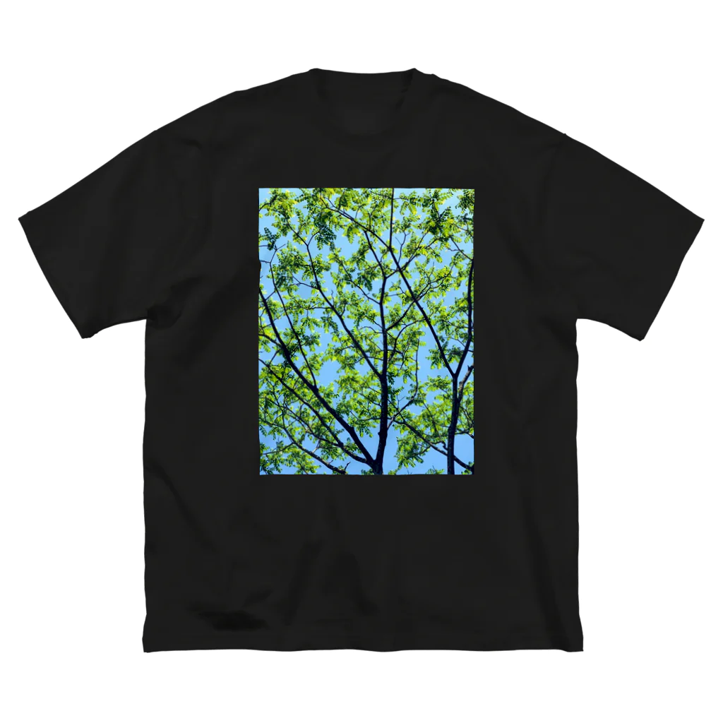 水彩屋の森林浴🌲 ビッグシルエットTシャツ