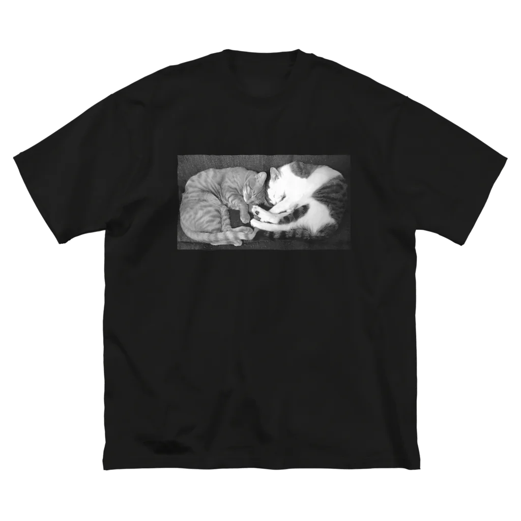 ショージの猫 Big T-Shirt