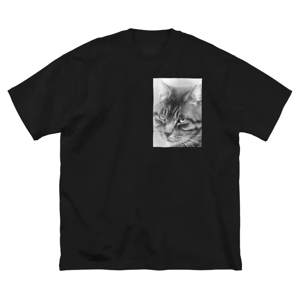 PhotoCollé フォトコラージュのPurr-fect・猫のいる暮らし④ Big T-Shirt