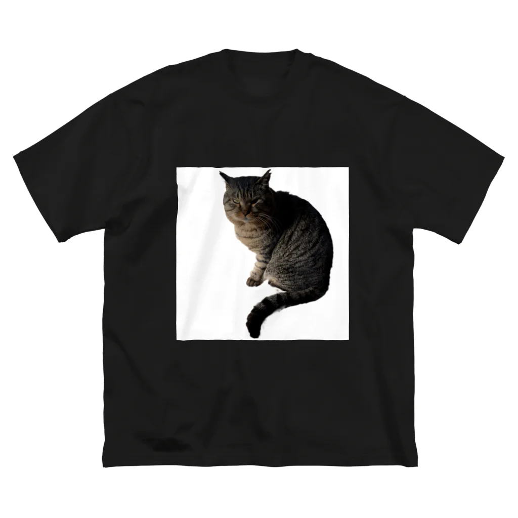 鯨屋珈琲店のテンちゃん💕 Big T-Shirt