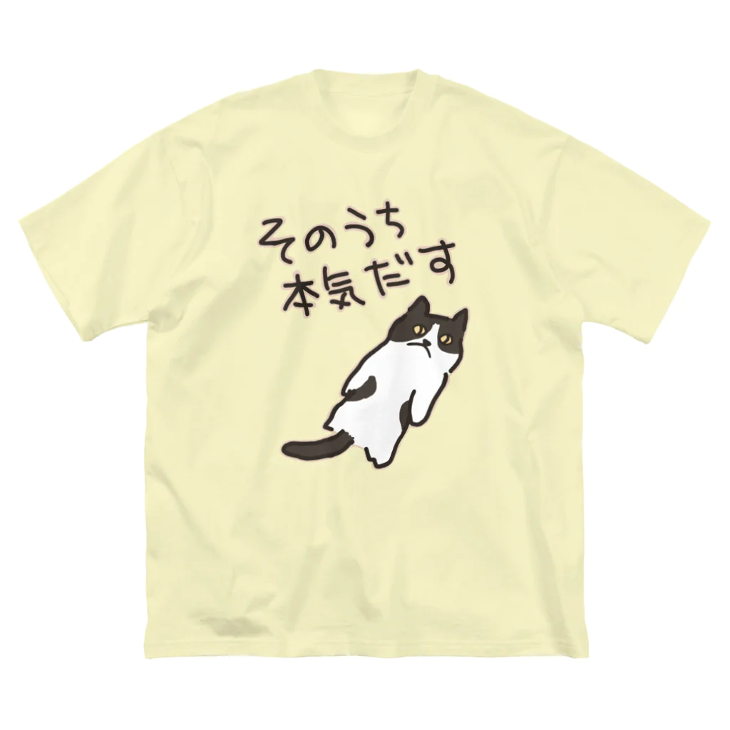 ミナミコアリクイ【のの】のそのうちそのうち【ねこ】 ビッグシルエットTシャツ