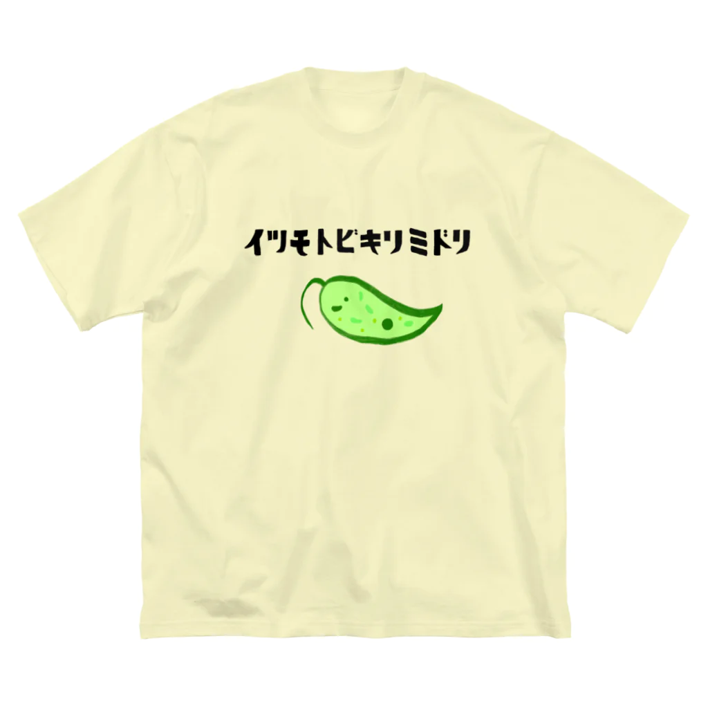 namynのいつもとびきりみどり Big T-Shirt