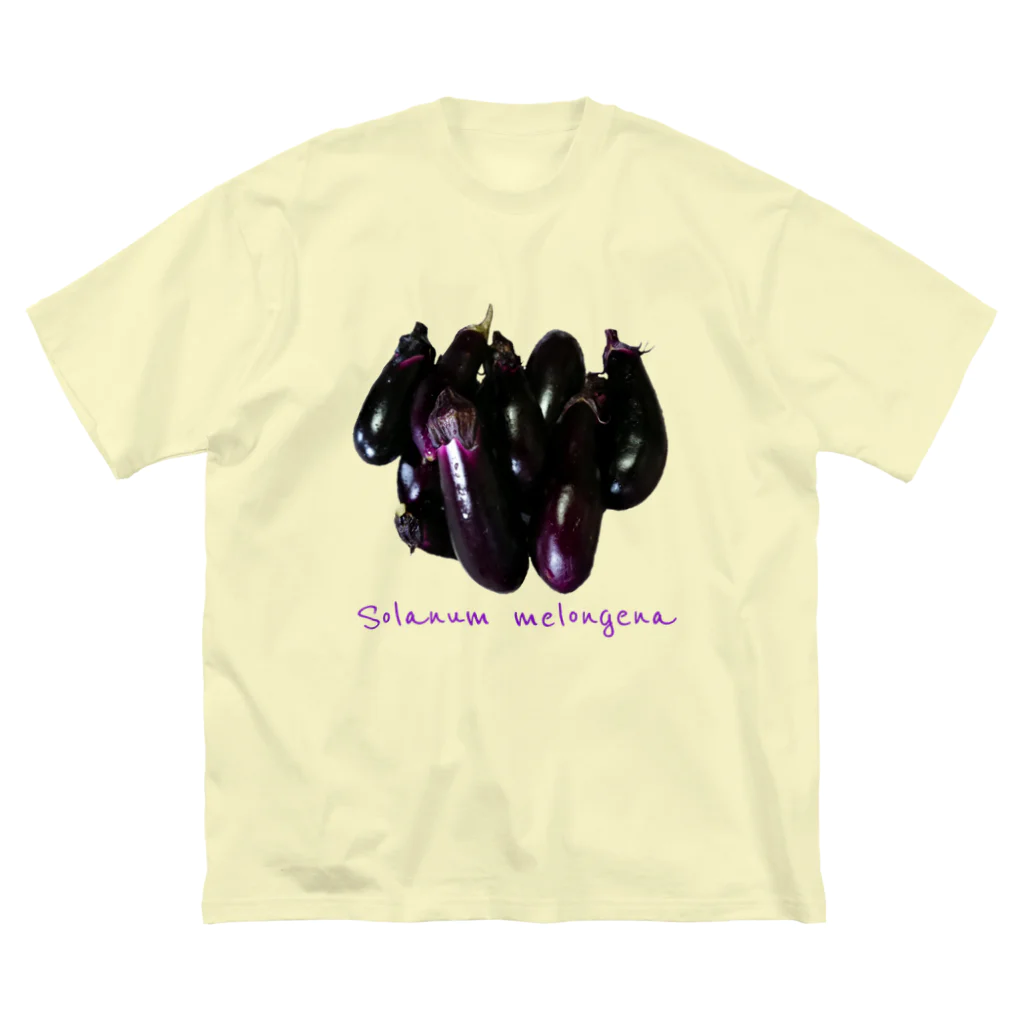 でおきしりぼ子の実験室の進撃の秋茄子🍆 Big T-Shirt