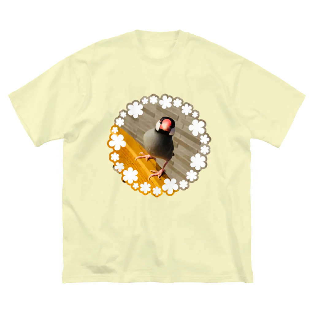 推しのある人生をの文鳥のはるさめちゃん Big T-Shirt