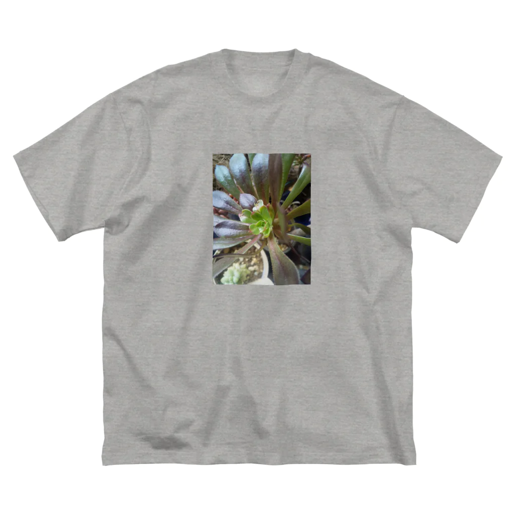 ミクロの多肉植物の黒法師 Big T-Shirt