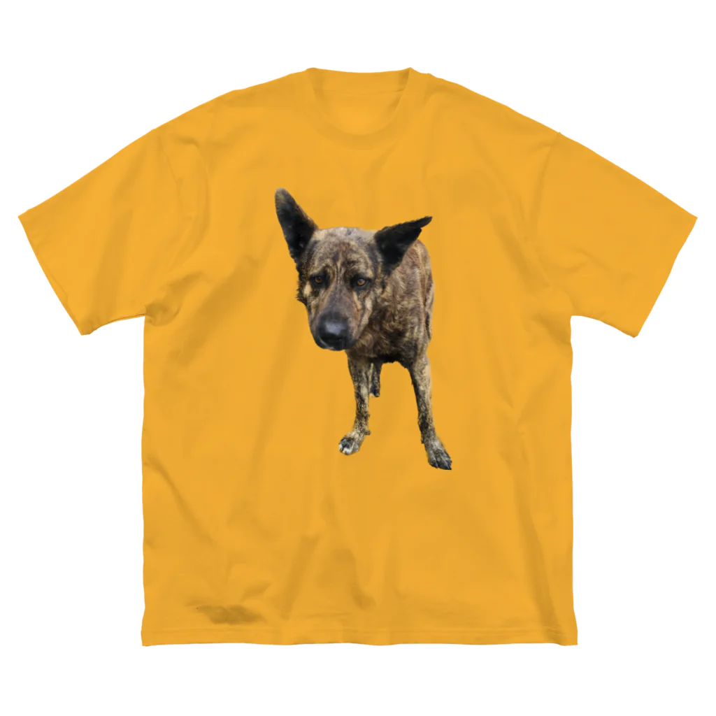 EYE CANDYの愛犬注意 루즈핏 티셔츠