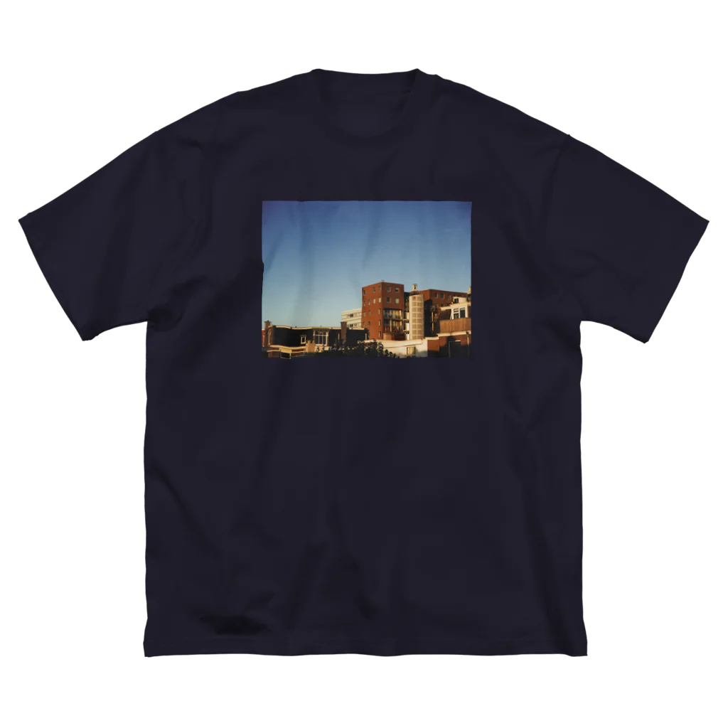 紫穂（しほ）のフォト/オランダ風景1 ビッグシルエットTシャツ