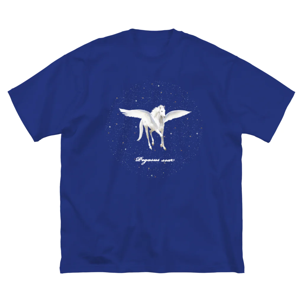 shikisai02sのPegasus soar in the starlight  ビッグシルエットTシャツ