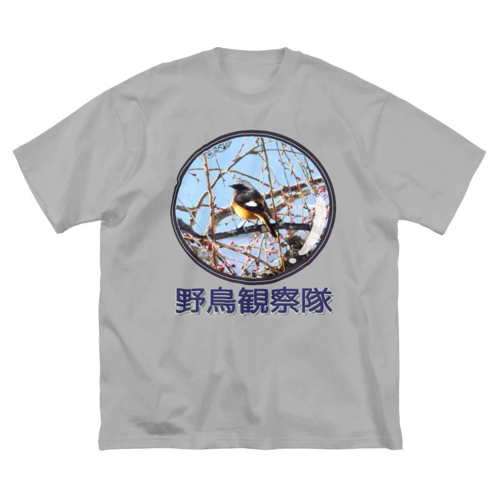 アニマル四字熟語のジョウビタキ　野鳥観察隊　日本の野鳥　 Big T-Shirt