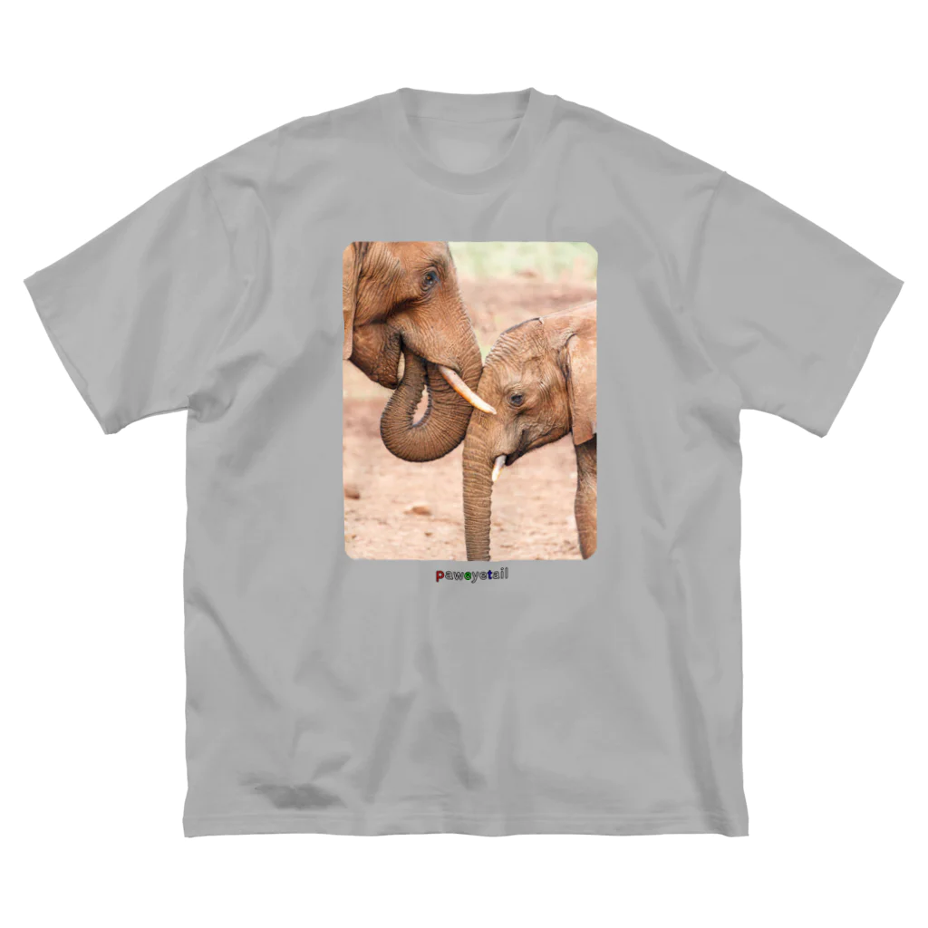paweyetailのlove - link - life Big T-Shirt
