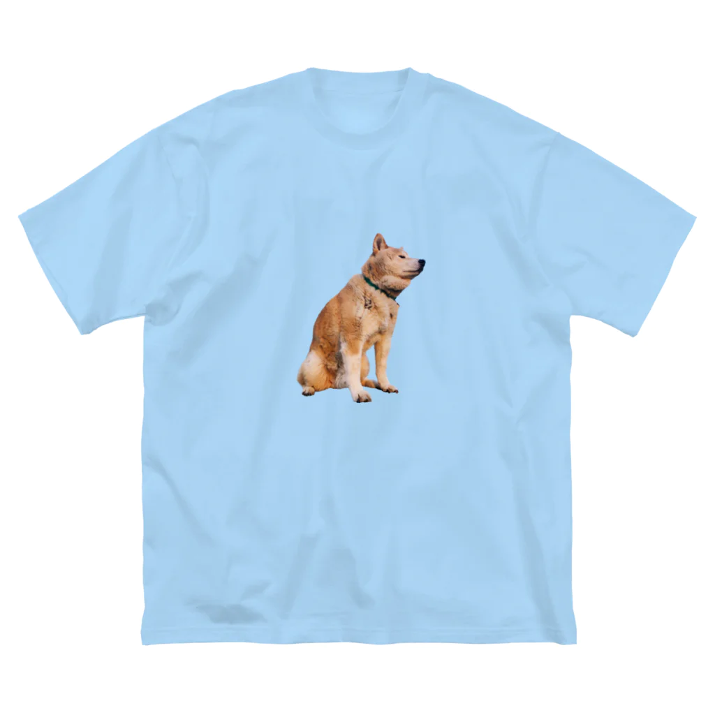 愛犬太郎のグッズの黄昏太郎【柴犬】 ビッグシルエットTシャツ