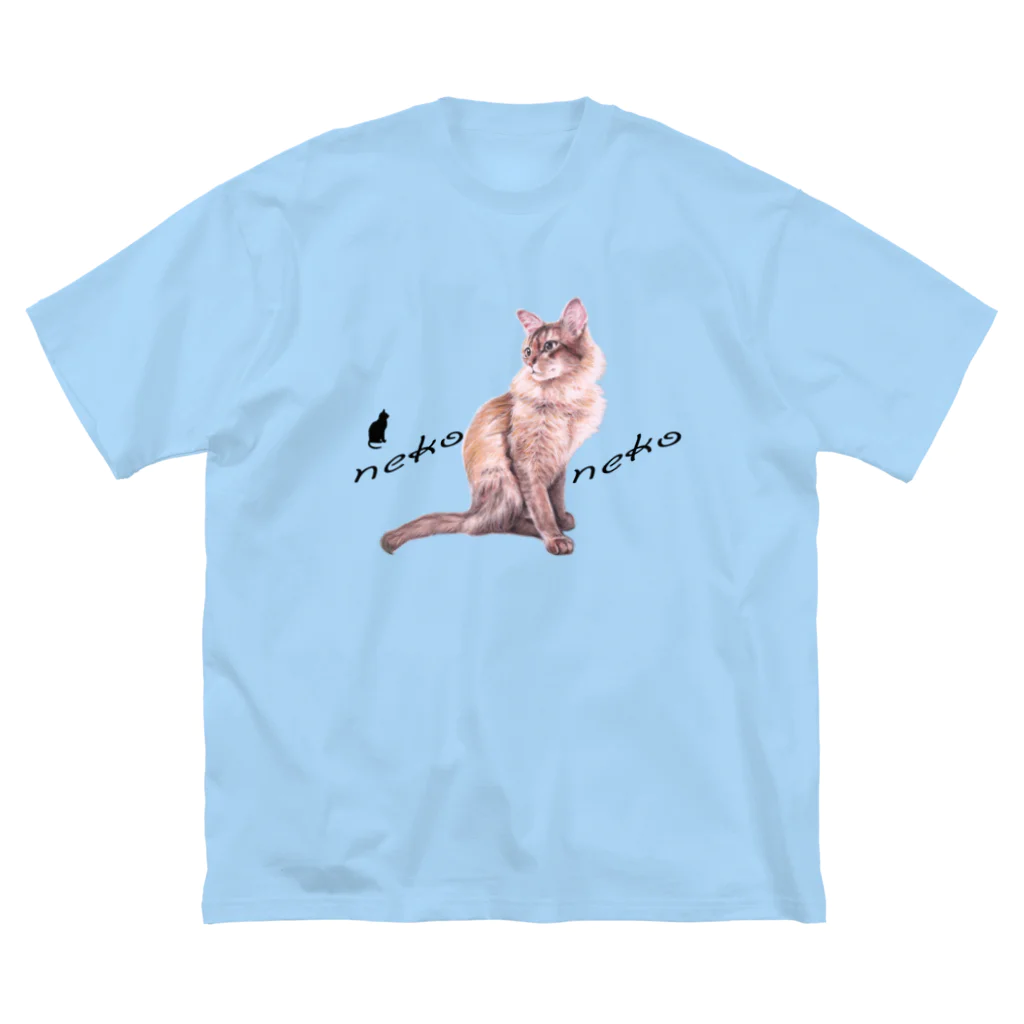 Ａｔｅｌｉｅｒ　Ｈｅｕｒｅｕｘのパステル💗ねこねこ　ライムくん ビッグシルエットTシャツ