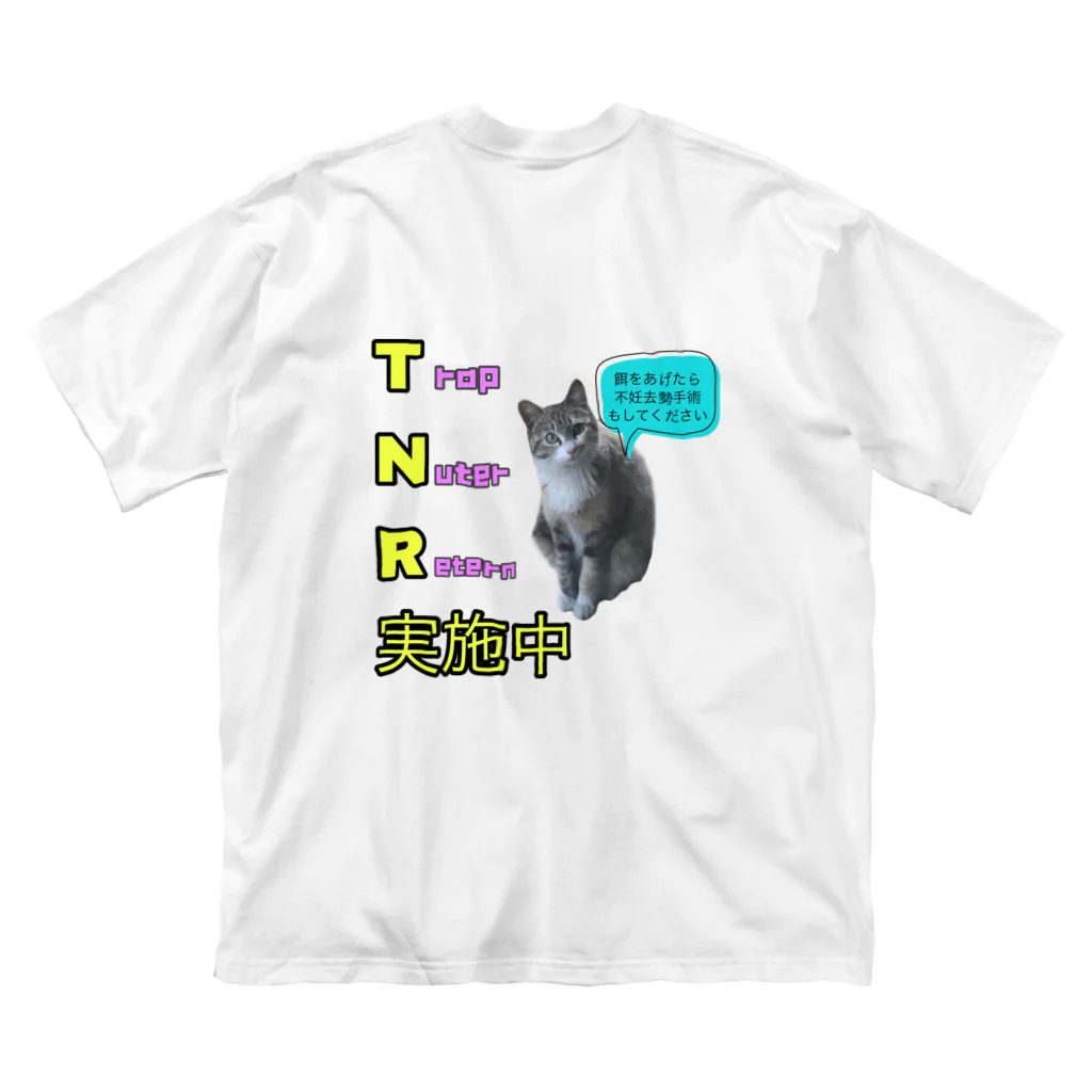 猫にゃんネットワーク府中の保護猫マミーのTNR実施中 ビッグシルエットTシャツ