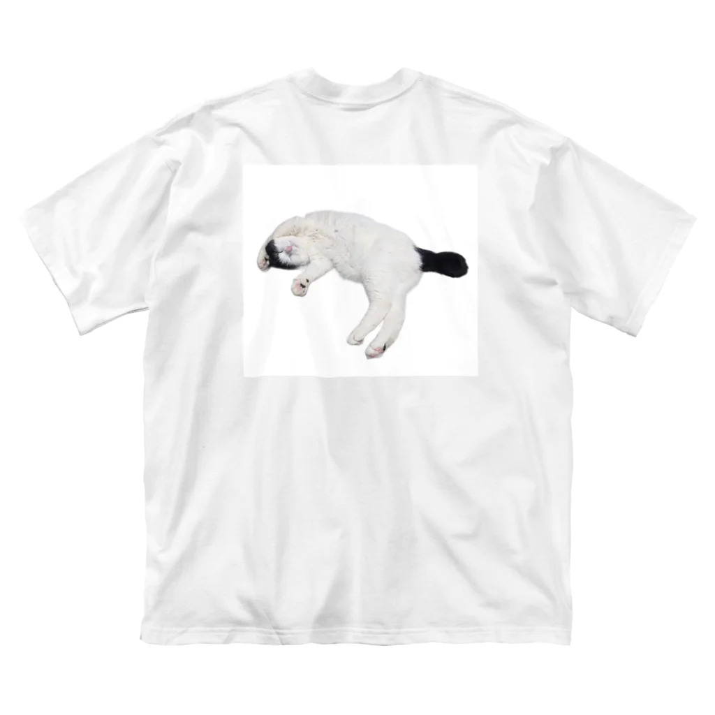 クリスタの尻尾が短い保護猫 たぬちゃん Big T-Shirt