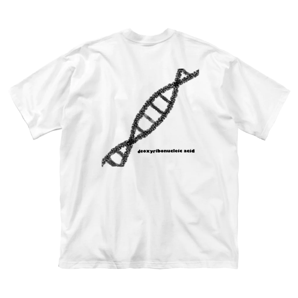 ケミスリの進化論-DNA- Big T-Shirt