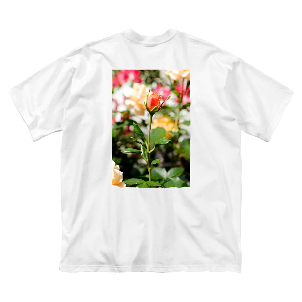 かぴばらのFLOWERS-蕾- Big T-Shirt