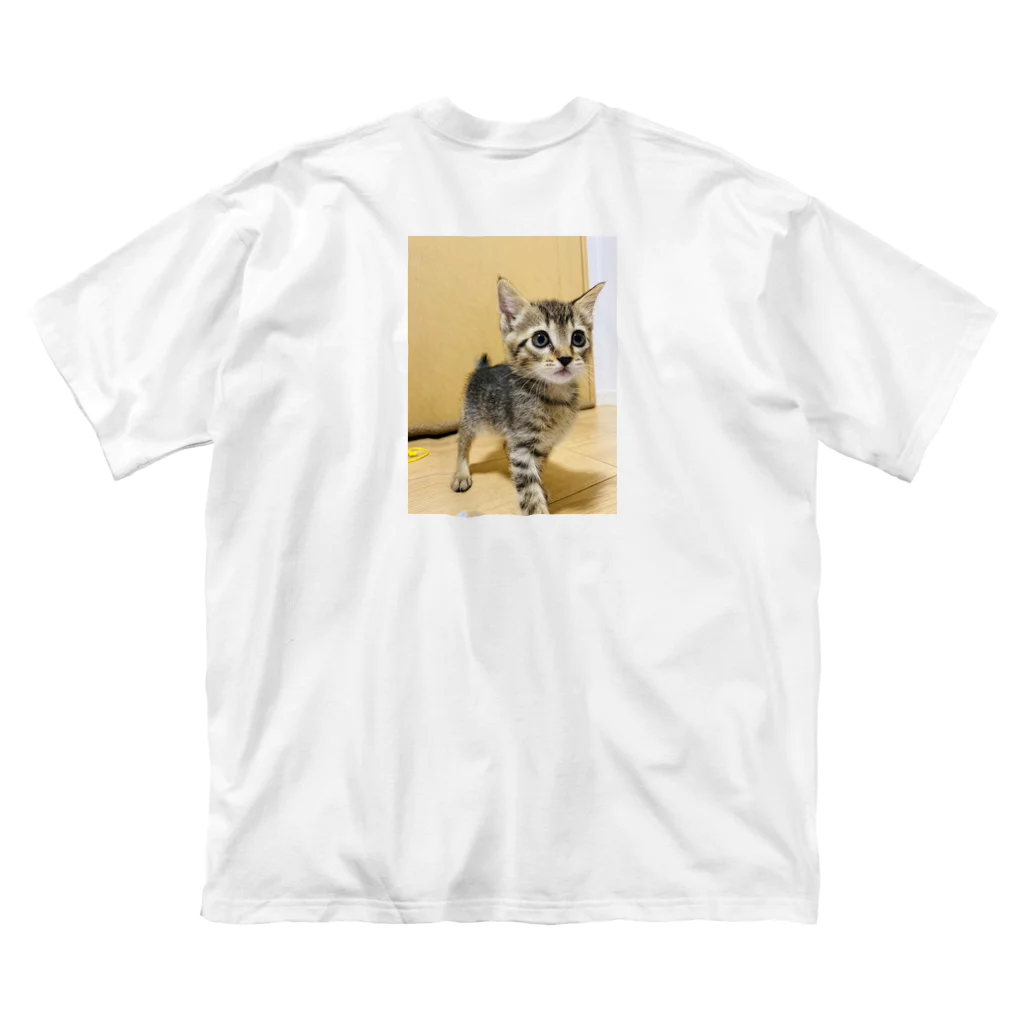 にゃんまるHOUSEのキジトラ(*ΦωΦ)leeﾘｰ ビッグシルエットTシャツ