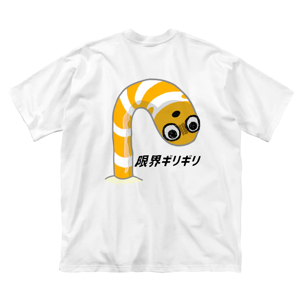 街のいろどりの限界ギリギリニシキアナゴ Big T-Shirt