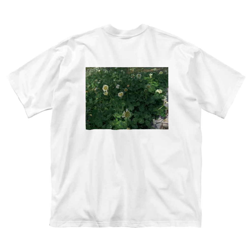 植物観察の身近な植物観察 Big T-Shirt