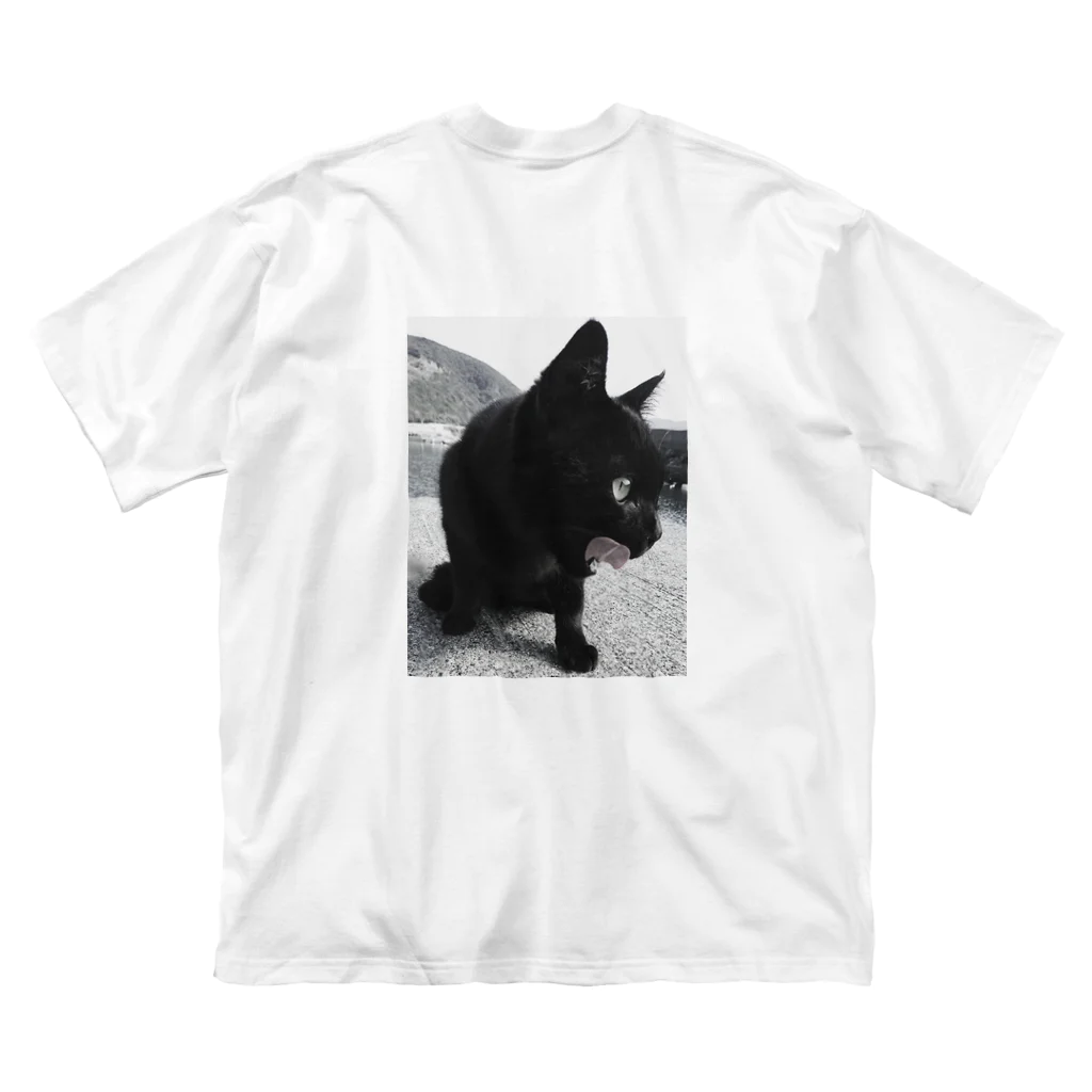 HFのHF 波止場の猫ちゃん フォトプリント ビッグシルエットTシャツ