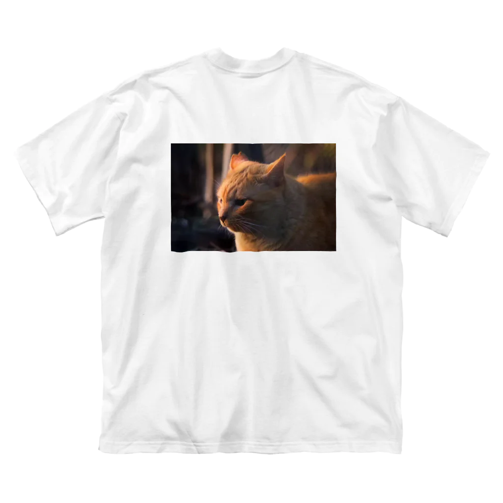 ポンポンぽんたの夕日と地域猫 in 品川 Big T-Shirt