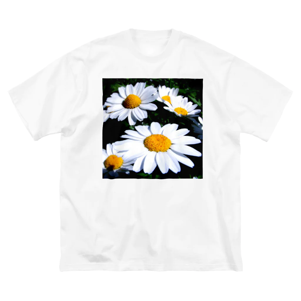 Ito  Yoshiの井の頭花シリーズ ビッグシルエットTシャツ