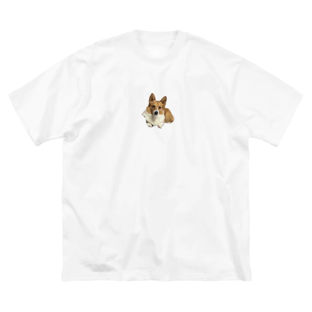 wどうぶつのこてこてつくん Big T-Shirt