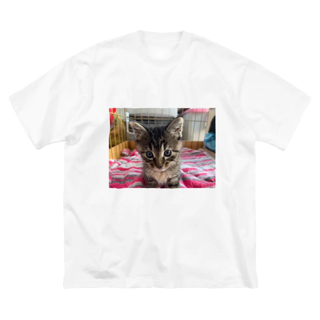 しっぽのパラソルのkirumi Big T-Shirt