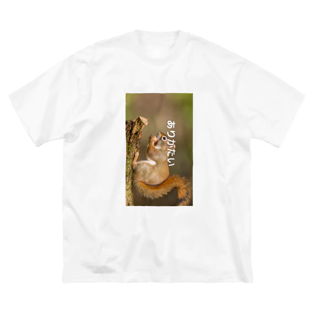 ミラくまのありがたい-リス ビッグシルエットTシャツ