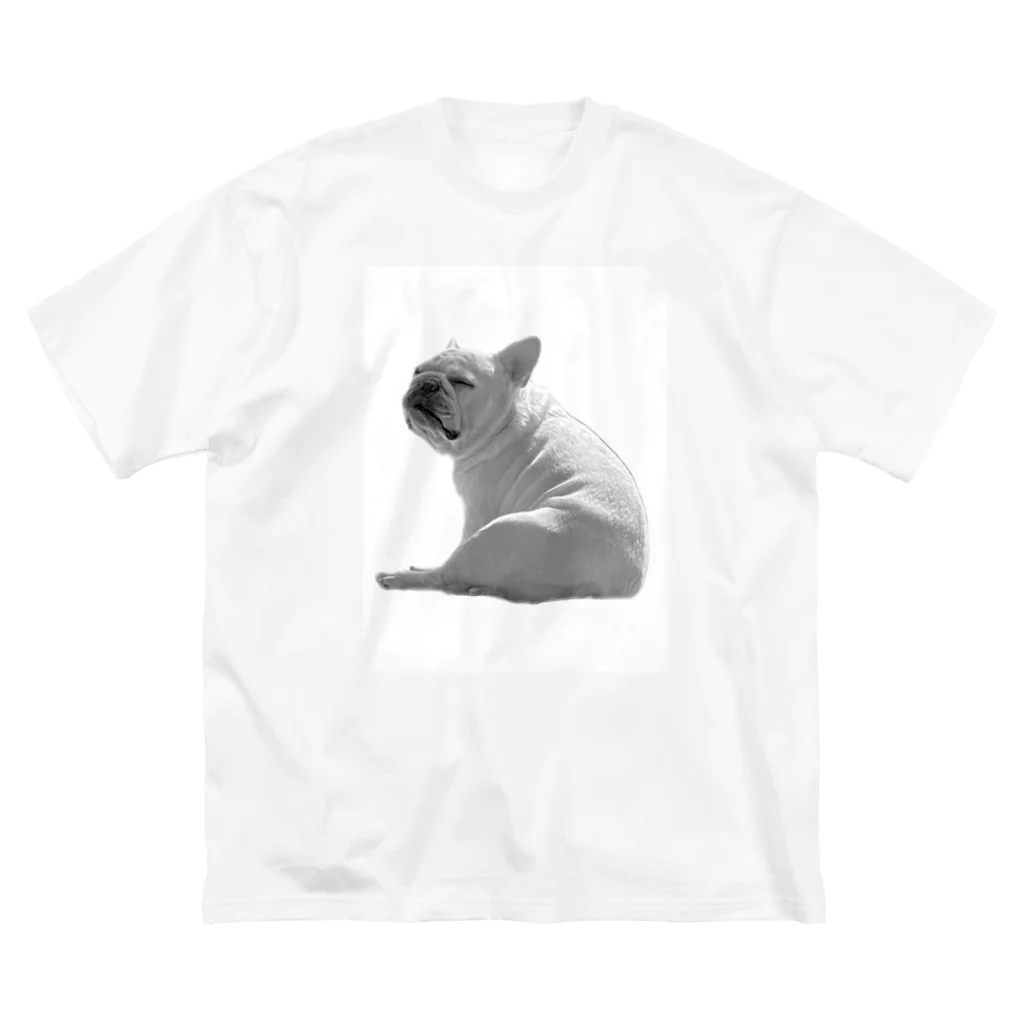 ロキの店の座り犬 Big T-Shirt