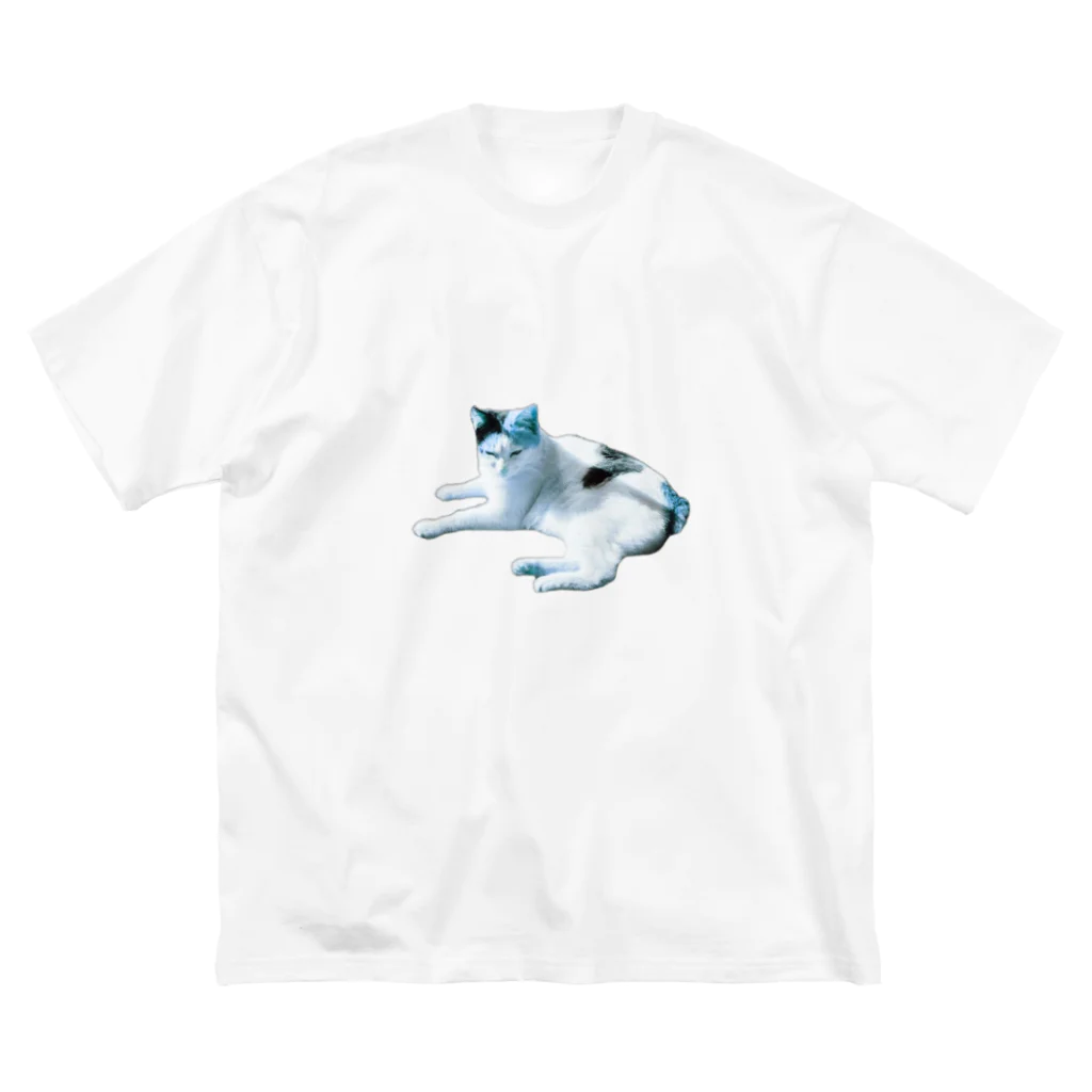 猫と雨のみずいろねこ ビッグシルエットTシャツ