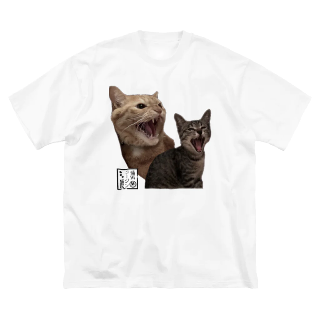 蒲田コージン猫院🐈‍⬛心霊内科👼のリアル副助手's ビッグシルエットTシャツ