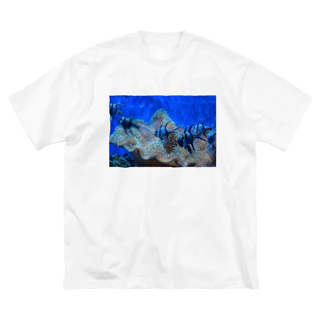 天秤座の星空の魚 Big T-Shirt