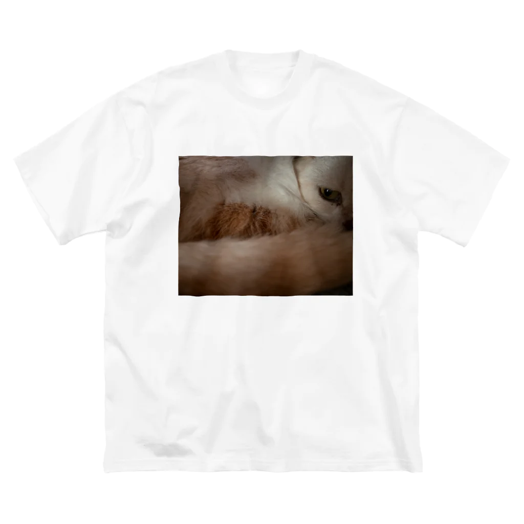 sanada_yurikoの猫のめぢから ビッグシルエットTシャツ