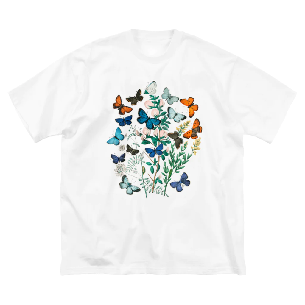 museumのbutterfly ビッグシルエットTシャツ