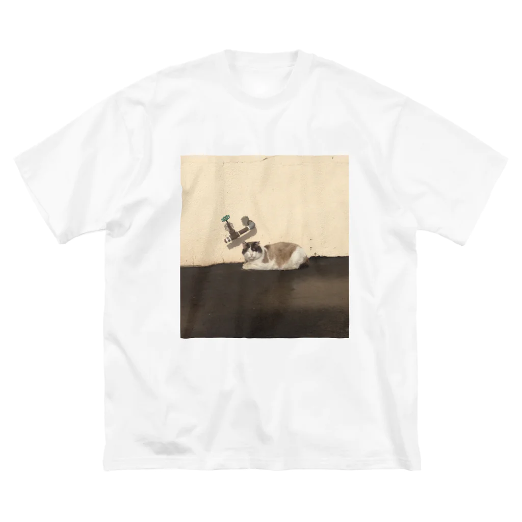 素敵屋の蛇口ねこ Big T-Shirt