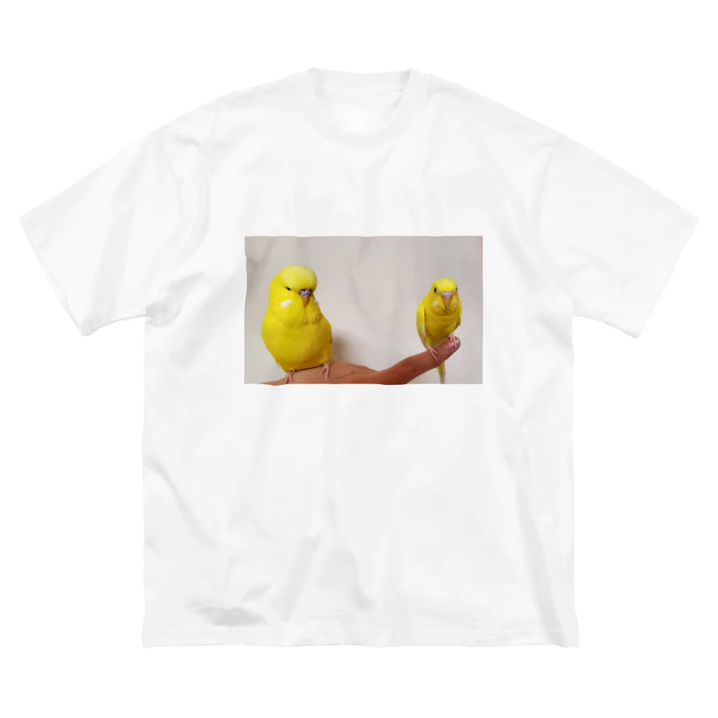 s301149のルチノーインコ ビッグシルエットTシャツ