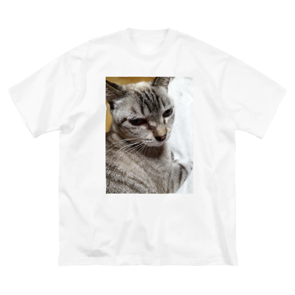 ねこの森でお散歩のさあ、モフりなさいよ。 Big T-Shirt