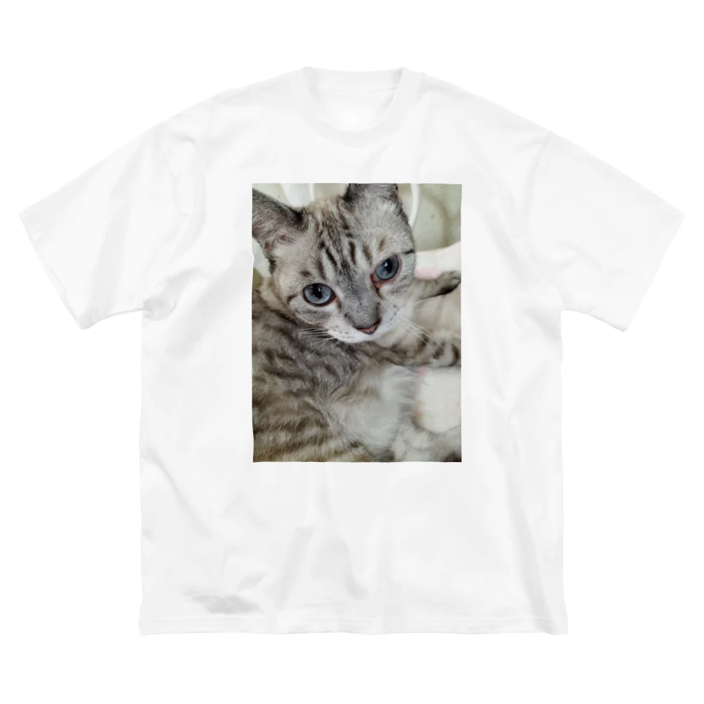 ねこの森でお散歩のフッワフワのシャムミックス Big T-Shirt