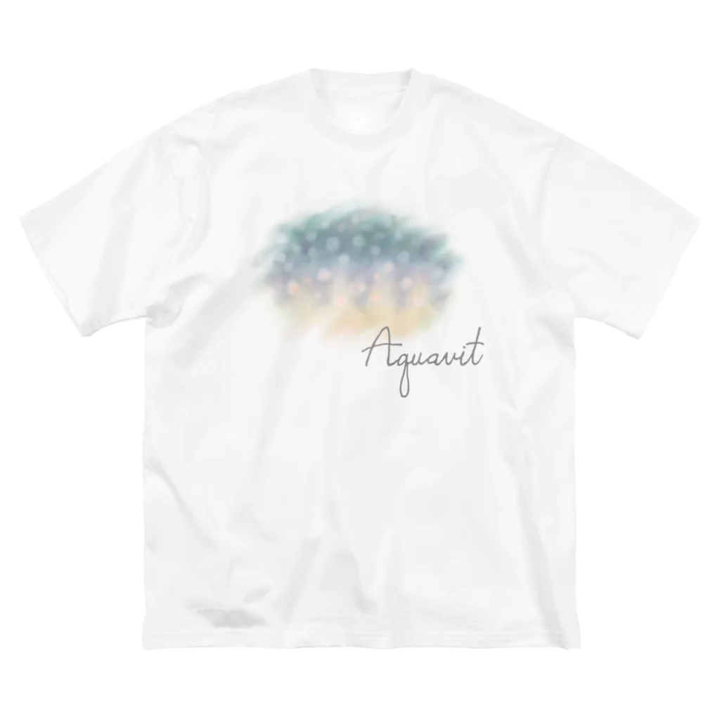 Aquavitのイワナ_N/IWANA_N 01 #L ビッグシルエットTシャツ