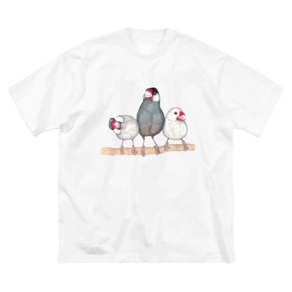 森図鑑の[森図鑑] 三羽文鳥 ビッグシルエットTシャツ