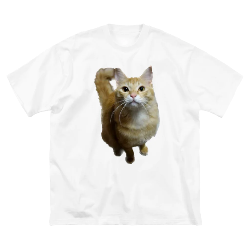 トロールショップの我が家のお猫様が見てます(笑) Big T-Shirt