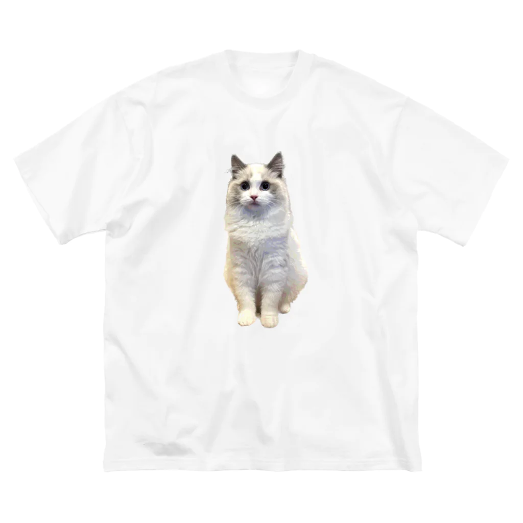 VISgraphicsのSOPO ビッグシルエットTシャツ