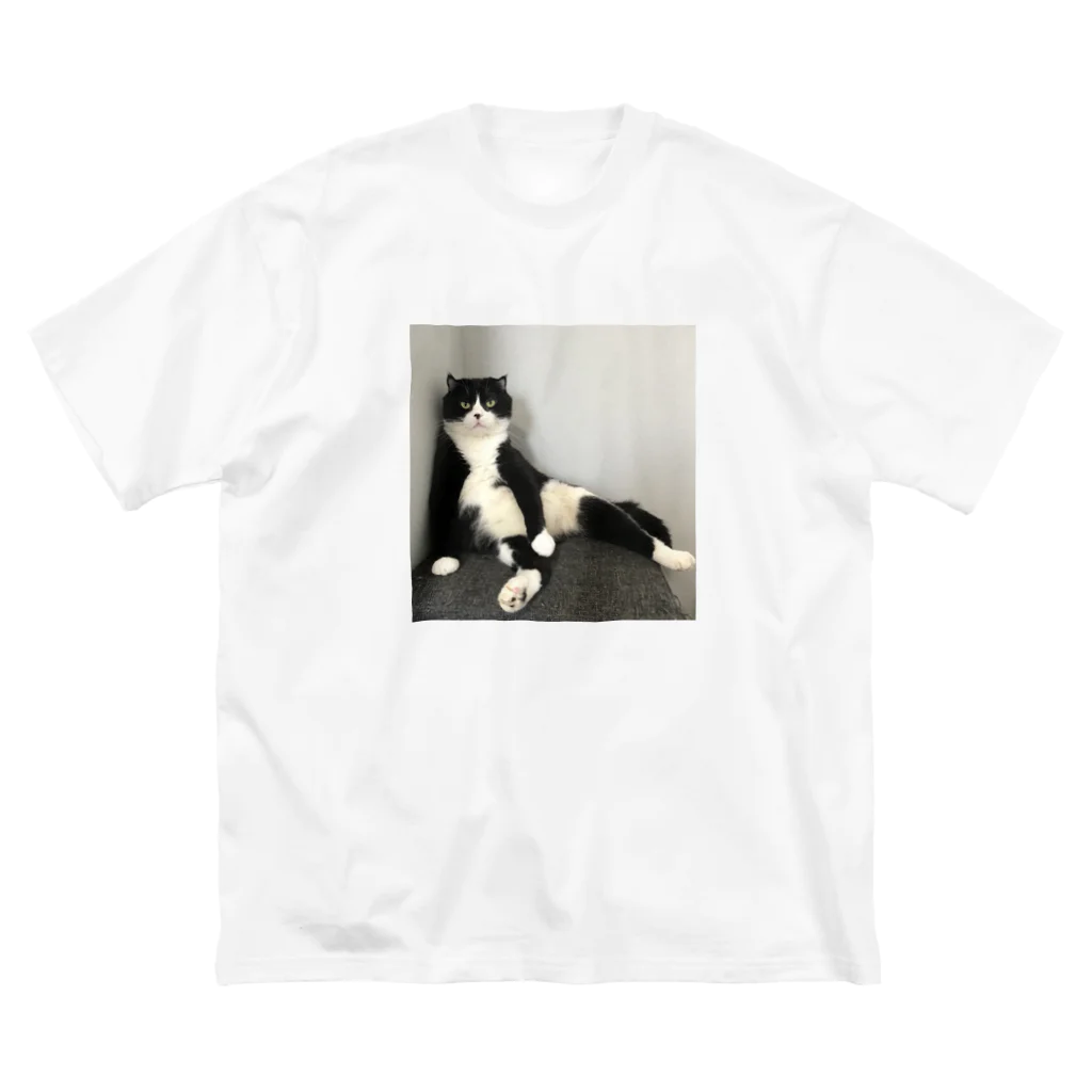 ネコまにあ 【12匹の猫➕うずら】のまめパパ ビッグシルエットTシャツ