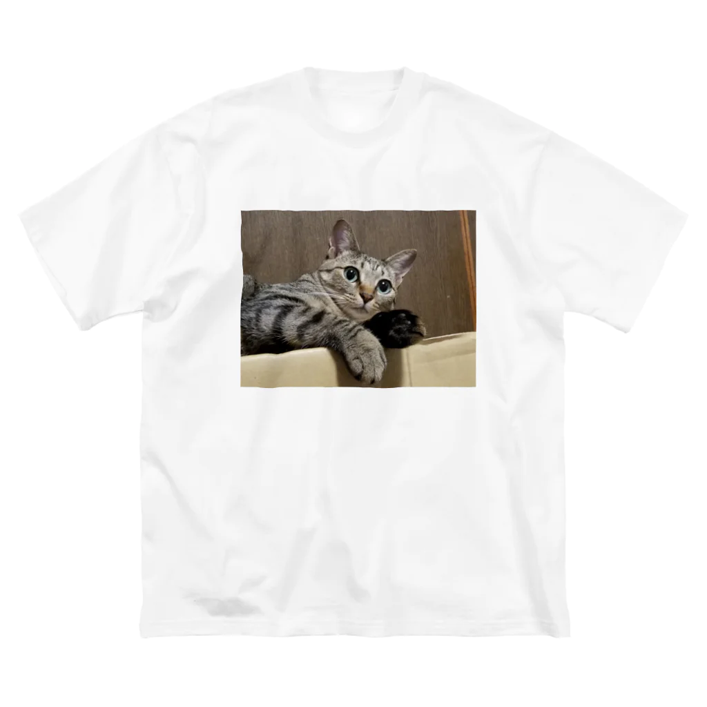 猫又雑貨店のあざネコさん ビッグシルエットTシャツ