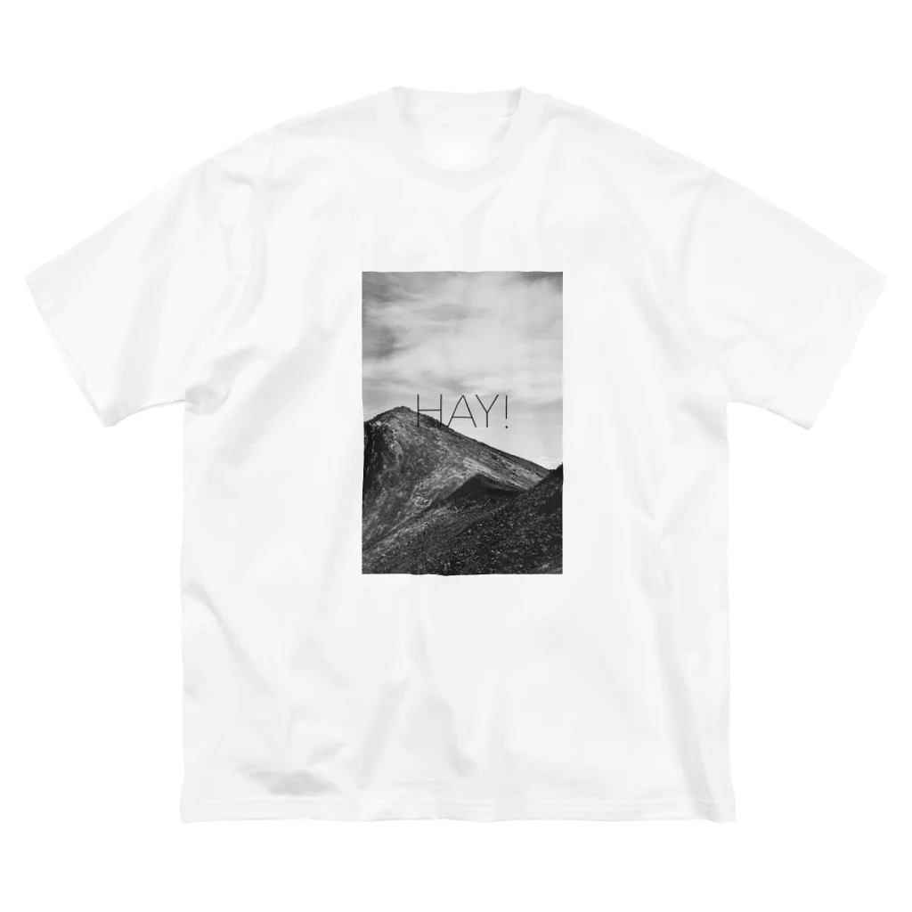 ムクロジの山彦1 Big T-Shirt