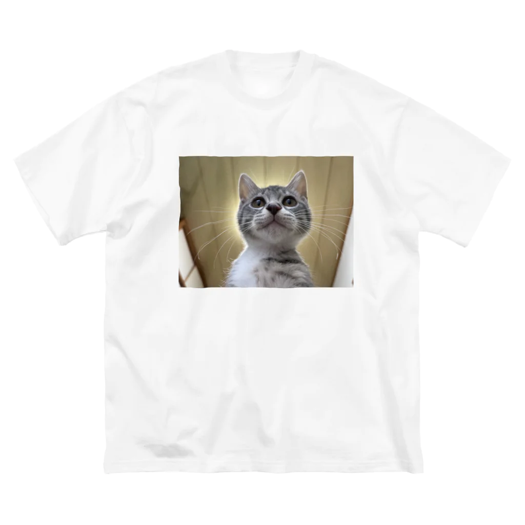 Vegeta_cat22の保護猫ベジータ　神 Big T-Shirt